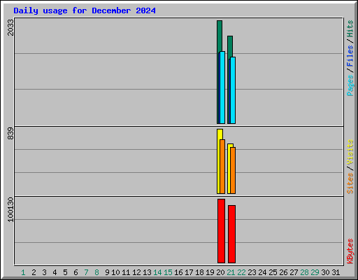 Daily usage for December 2024