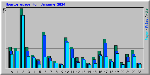 Hourly usage for January 2024