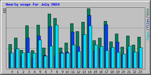 Hourly usage for July 2024