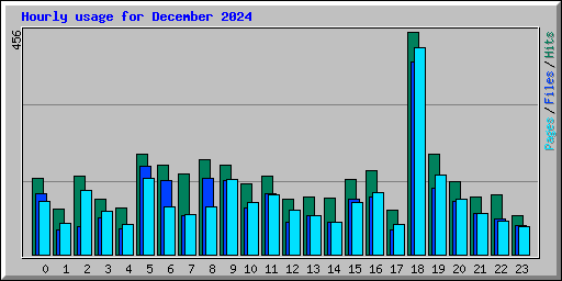 Hourly usage for December 2024