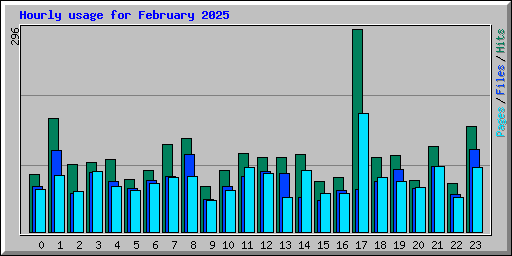 Hourly usage for February 2025