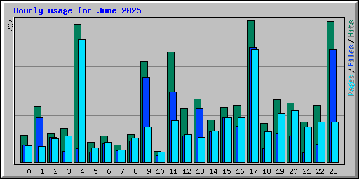 Hourly usage for June 2025