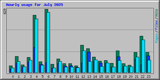 Hourly usage for July 2025